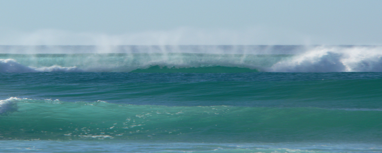 Riding the Wave of Current Practice OSNA2025 Event Website